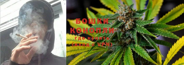 СК Покров