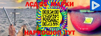 ешки Сланцы