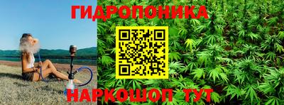 ешки Сланцы