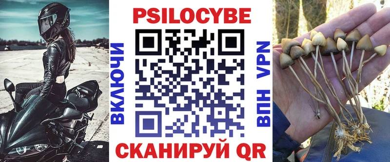Псилоцибиновые грибы мицелий  Рославль 
